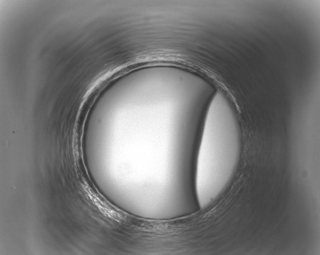 X0000086261072200703291056