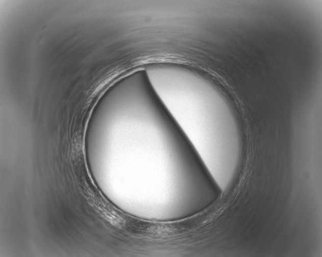 X0000086261073200703291056
