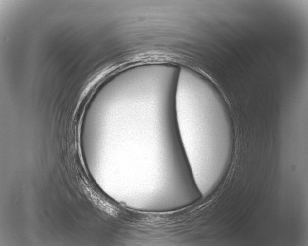 X0000086261075200703291056