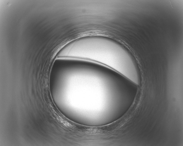X0000086261081200703291056