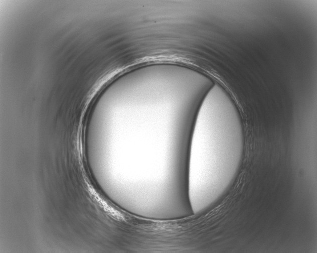 X0000086261084200703291056