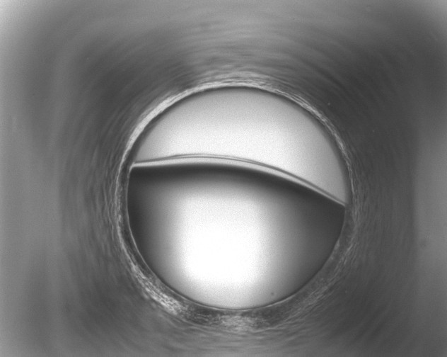 X0000086261085200703291056