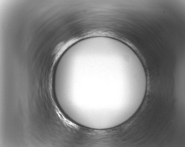 X0000086261094200703291056