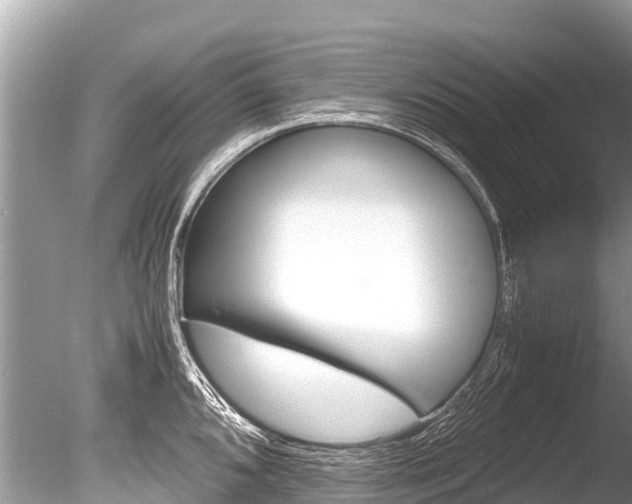 X0000086261096200703291056