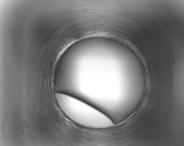 X0000086261097200703291056