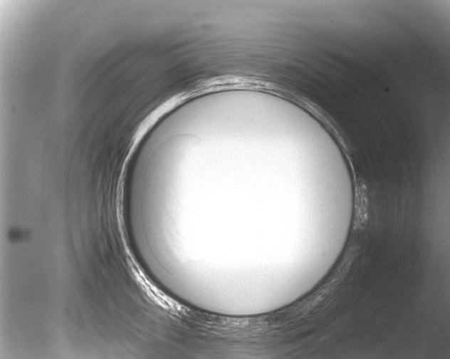 X0000086261098200703291056