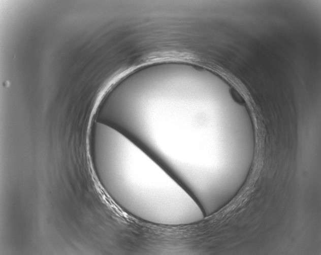 X0000086261104200703291056