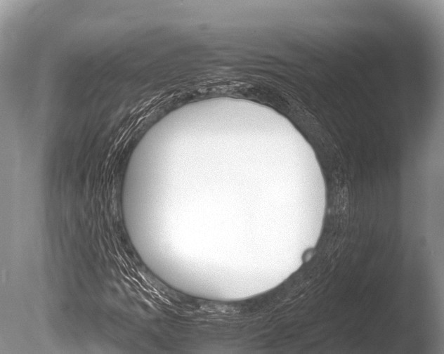 X0000086261109200703291055