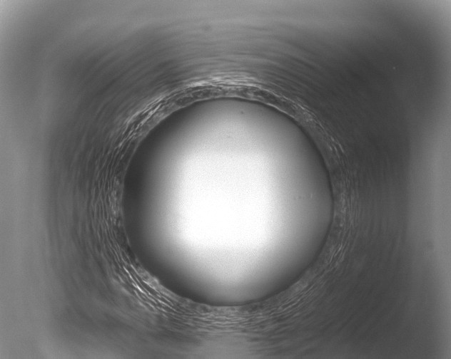 X0000086261110200703291055