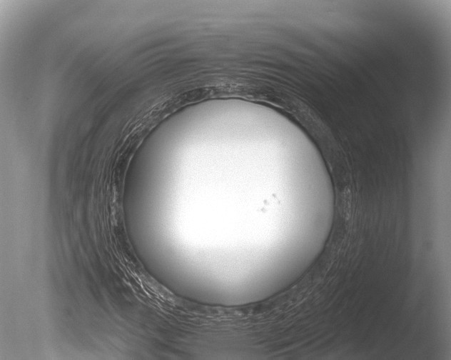 X0000086261111200703291055