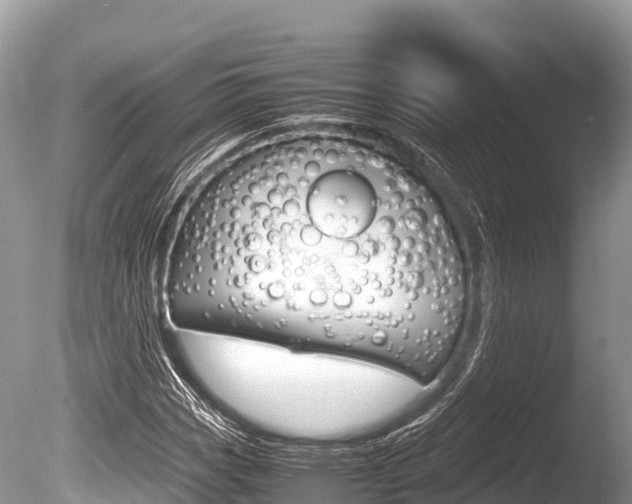 X0000086261113200703291055