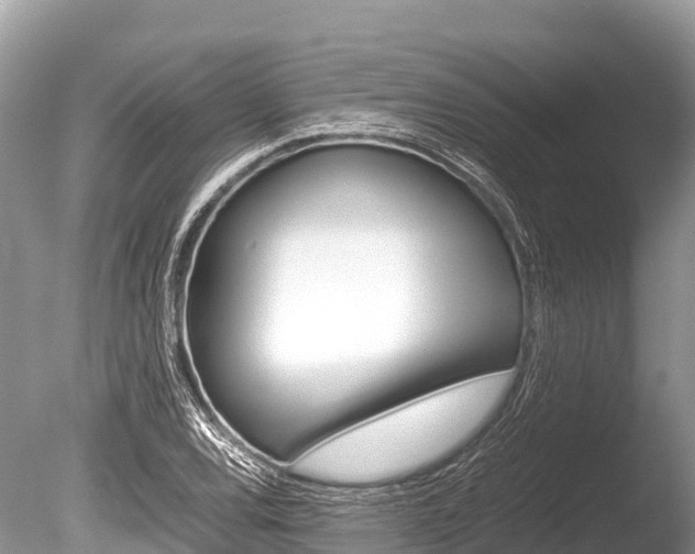 X0000086261120200703291055