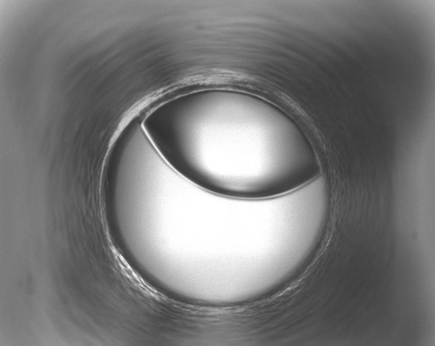 X0000086261122200703291055