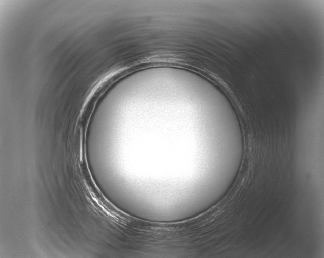 X0000086261123200703291055