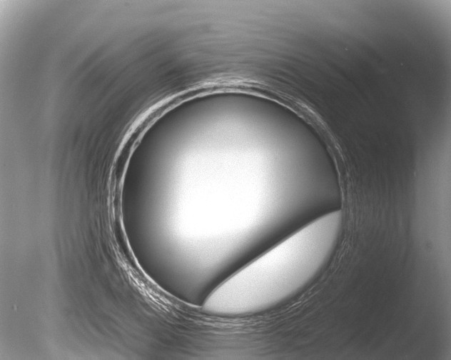 X0000086261124200703291055