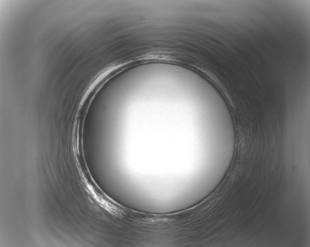X0000086261131200703291055