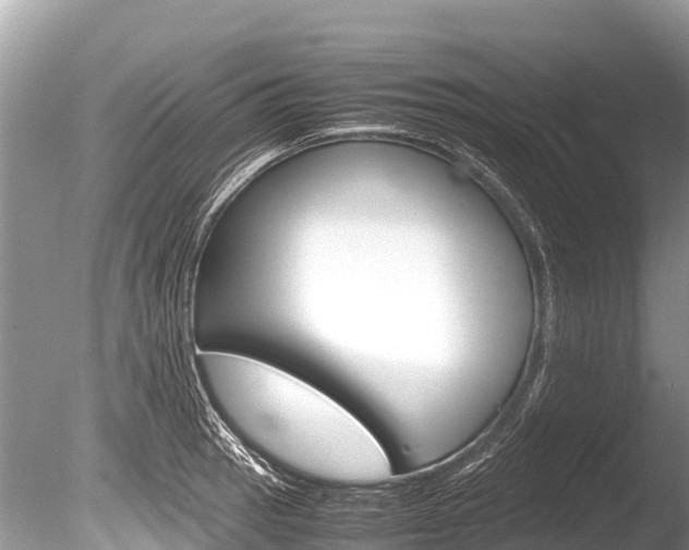 X0000086261137200703291055