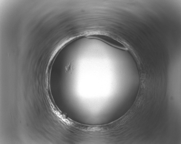 X0000086261140200703291055
