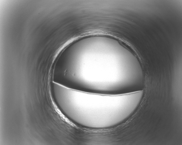 X0000086261142200703291055