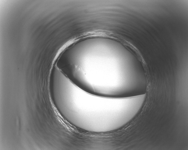 X0000086261146200703291055