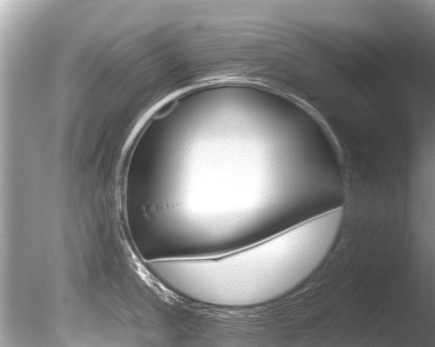 X0000086261148200703291055