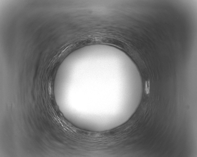 X0000086261155200703291055