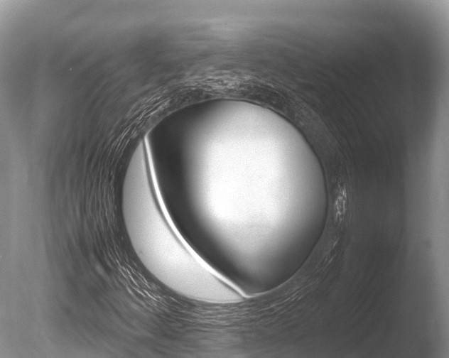 X0000086261156200703291055