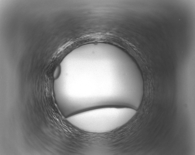 X0000086261158200703291055