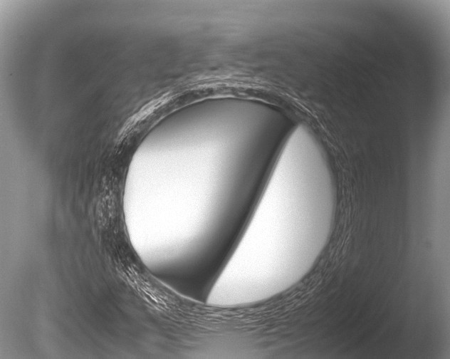 X0000086261159200703291055