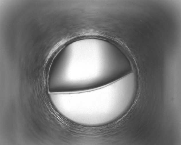 X0000086261167200703291054