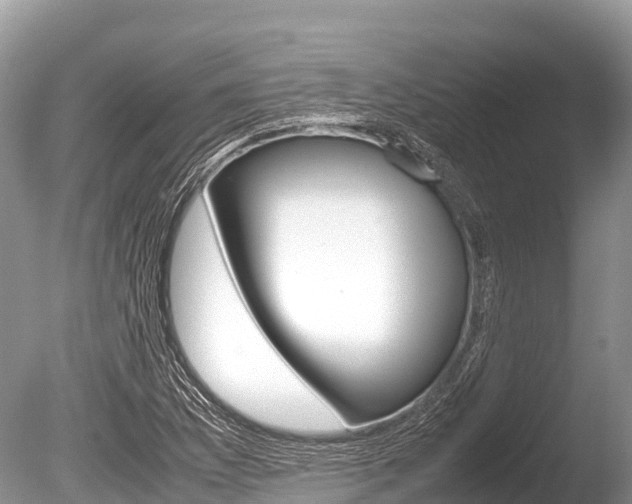 X0000086261169200703291054