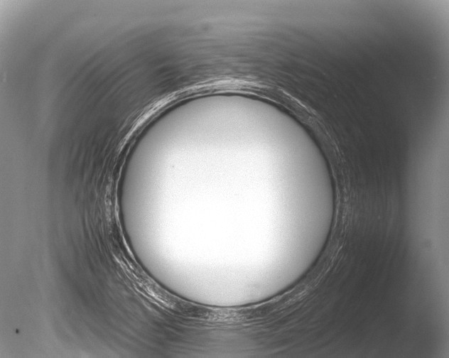 X0000086261170200703291054