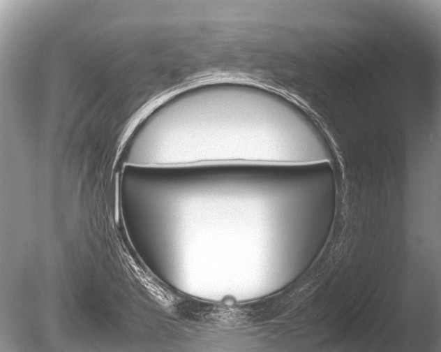X0000086261175200703291054