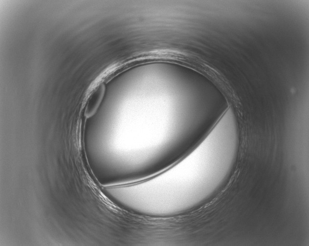X0000086261180200703291054