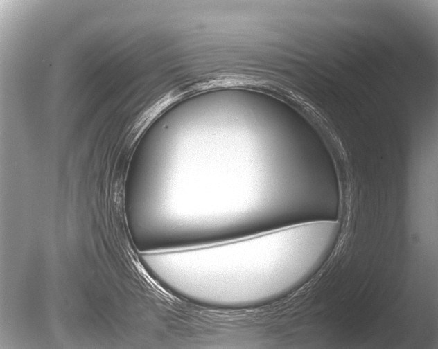 X0000086261185200703291054