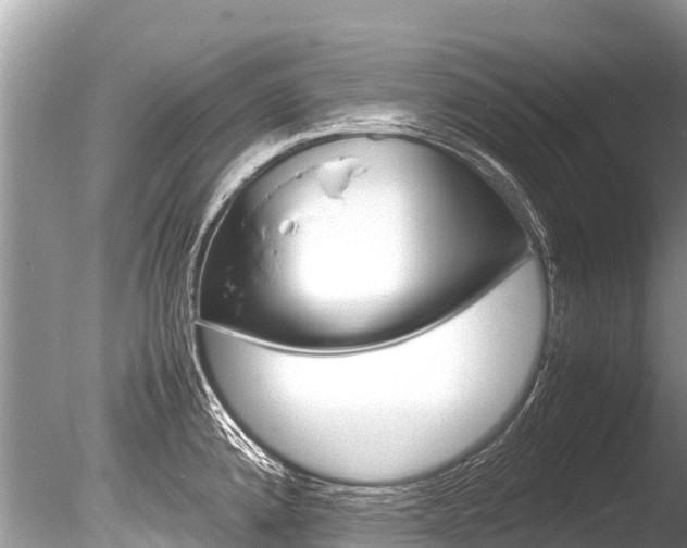 X0000086261192200703291054