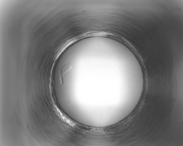 X0000086261194200703291054