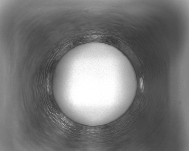 X0000086261203200703291053