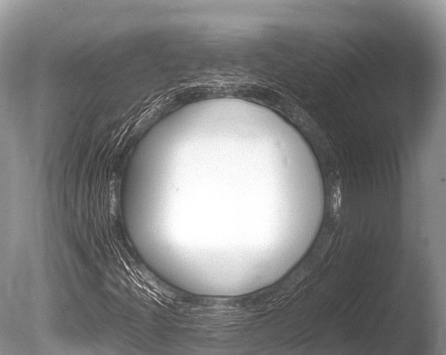 X0000086261204200703291053