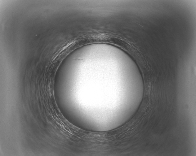 X0000086261205200703291053