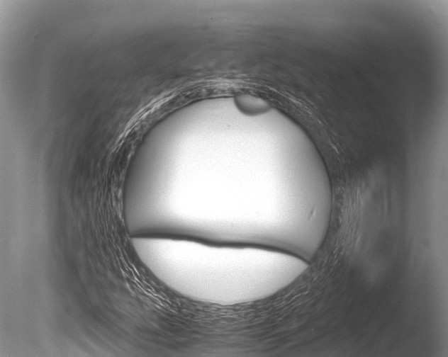X0000086261207200703291053
