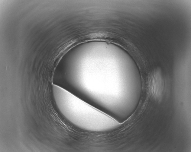 X0000086261217200703291053