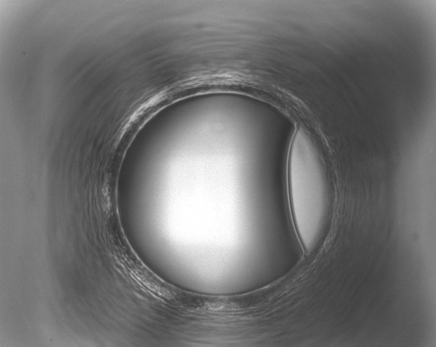 X0000086261218200703291053