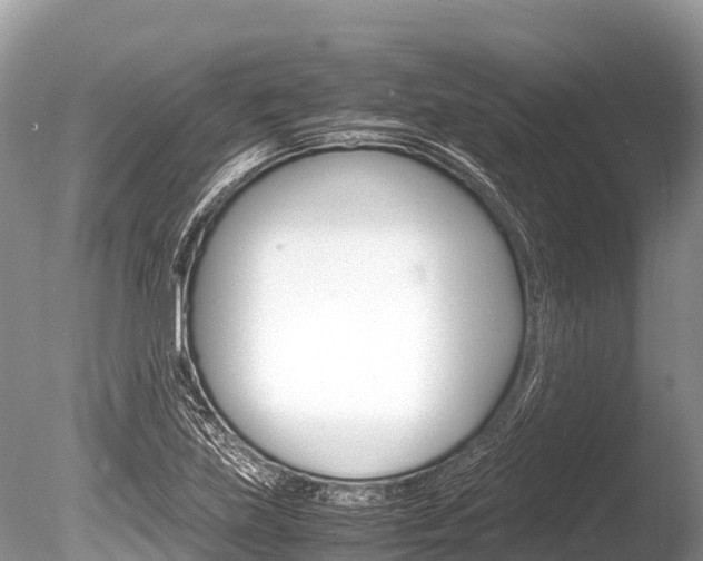 X0000086261219200703291053