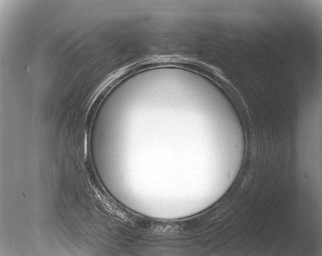 X0000086261221200703291053