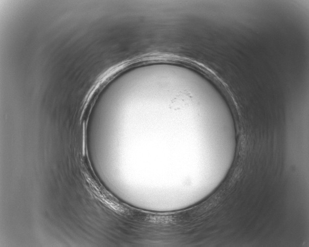 X0000086261223200703291053