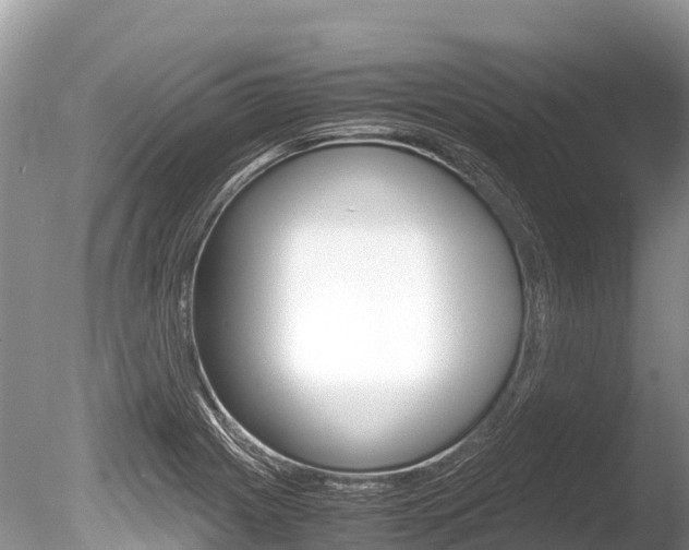 X0000086261225200703291053