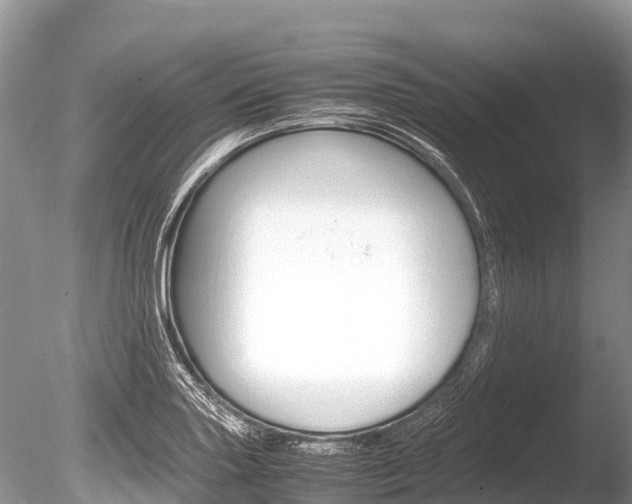 X0000086261227200703291053