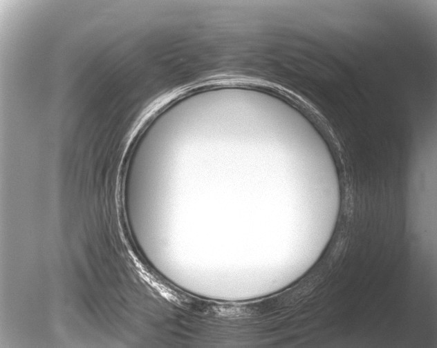X0000086261231200703291054