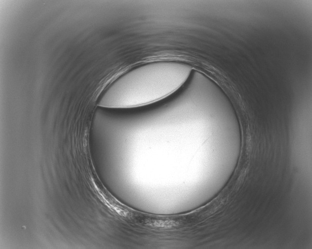 X0000086261233200703291054